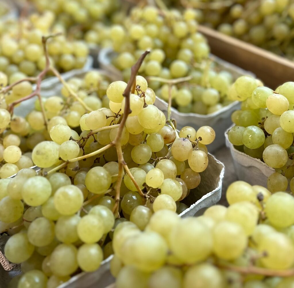 raisin blanc sans pépins Tahiti