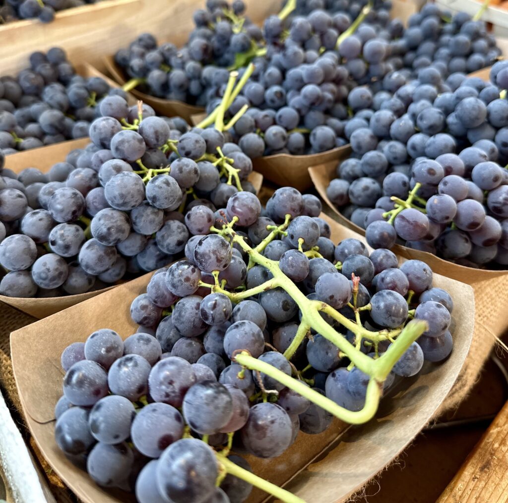 Raisins noirs muscat